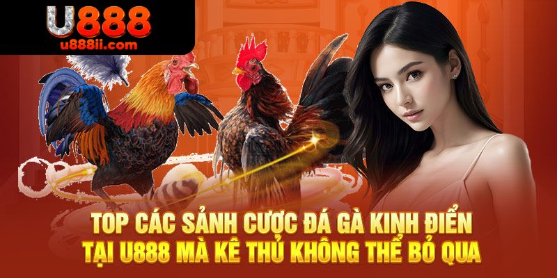 Sảnh Đá Gà U888 mang đến nhiều dịch vụ độc đáo và hấp dẫn