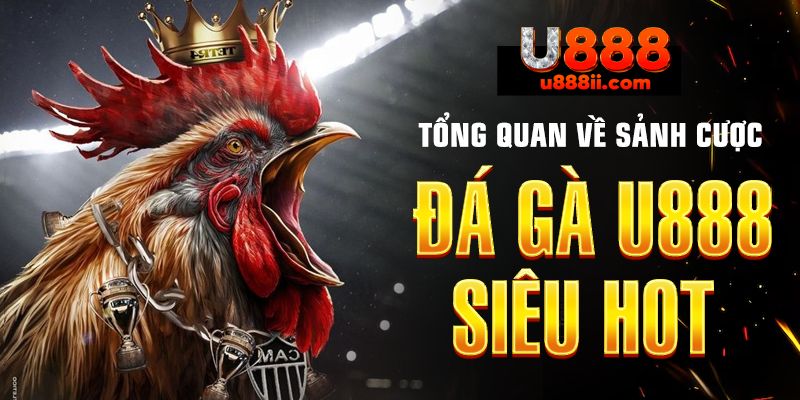 Sảnh game đá gà tại nhà cái là một không gian sống động